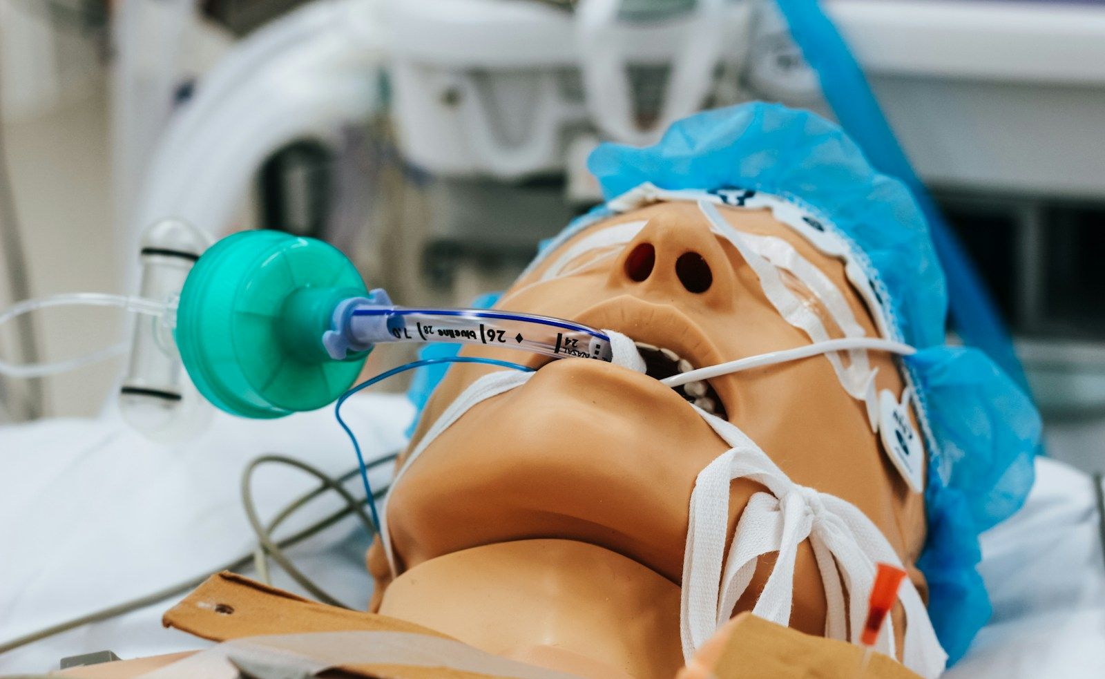 Simulation manikin